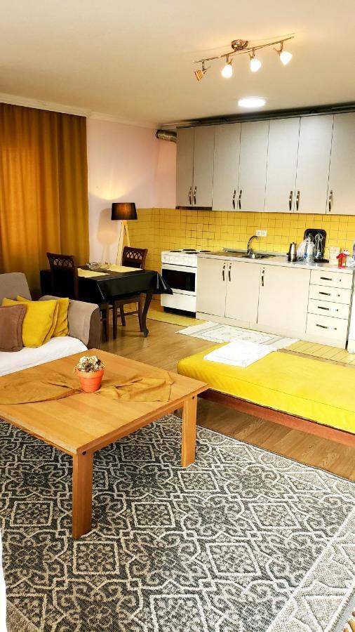 Spacious Downtown Apartment With A City View Pristina Esterno foto